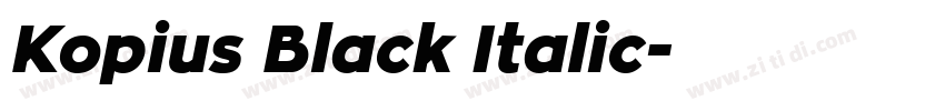 Kopius Black Italic字体转换